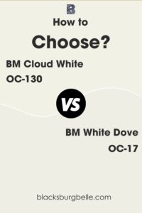 Cloud White Vs White Dove