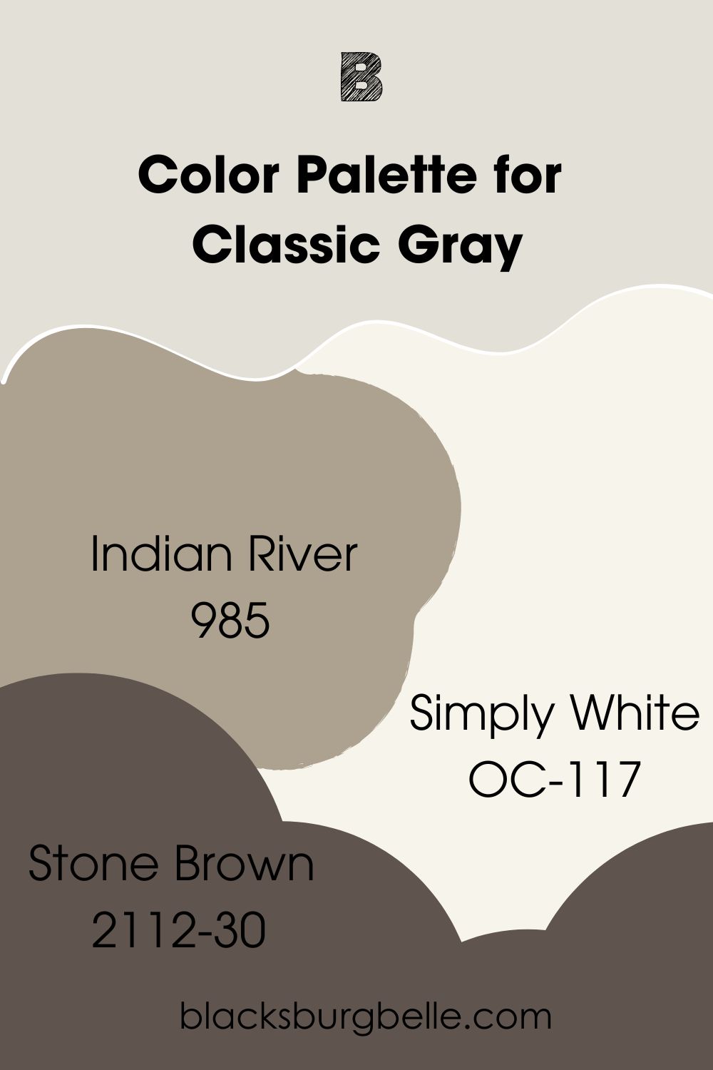 Color Palette for Classic Gray