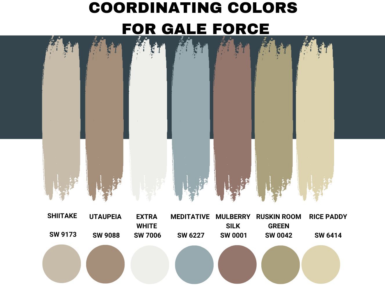 Coordinating Colors for Gale Force