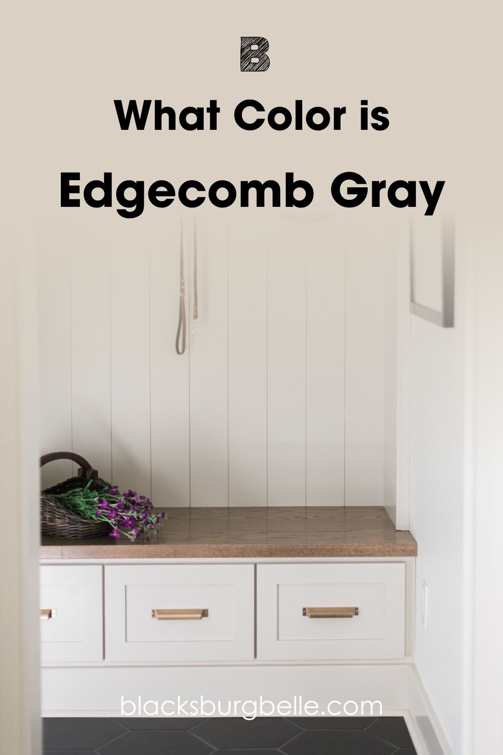 Edgecomb Gray(EG)