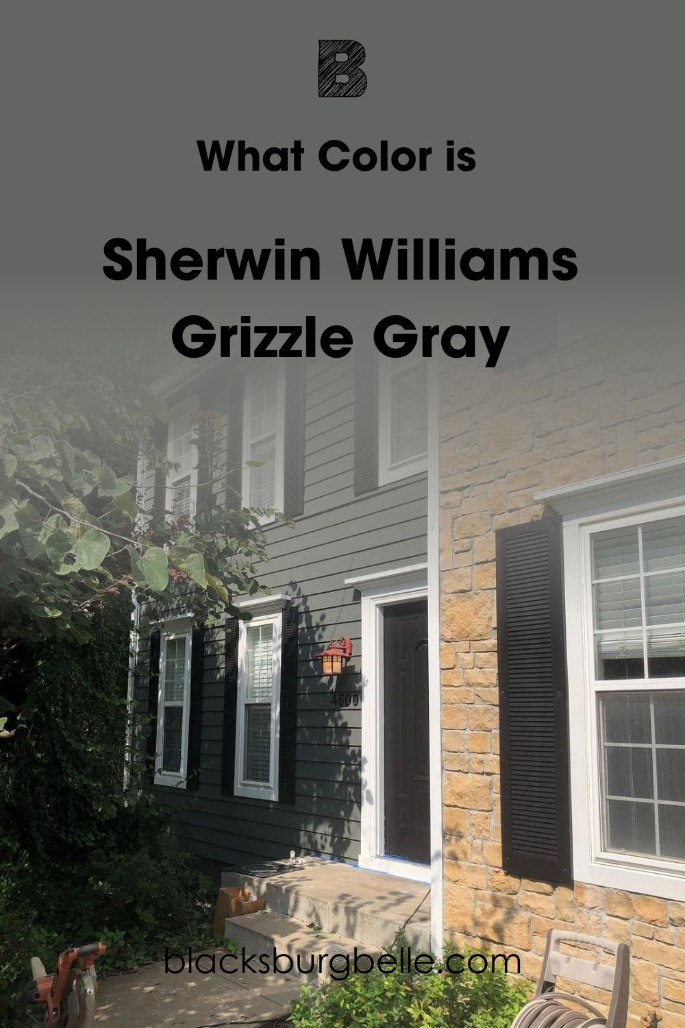 Grizzle Gray SW 7068