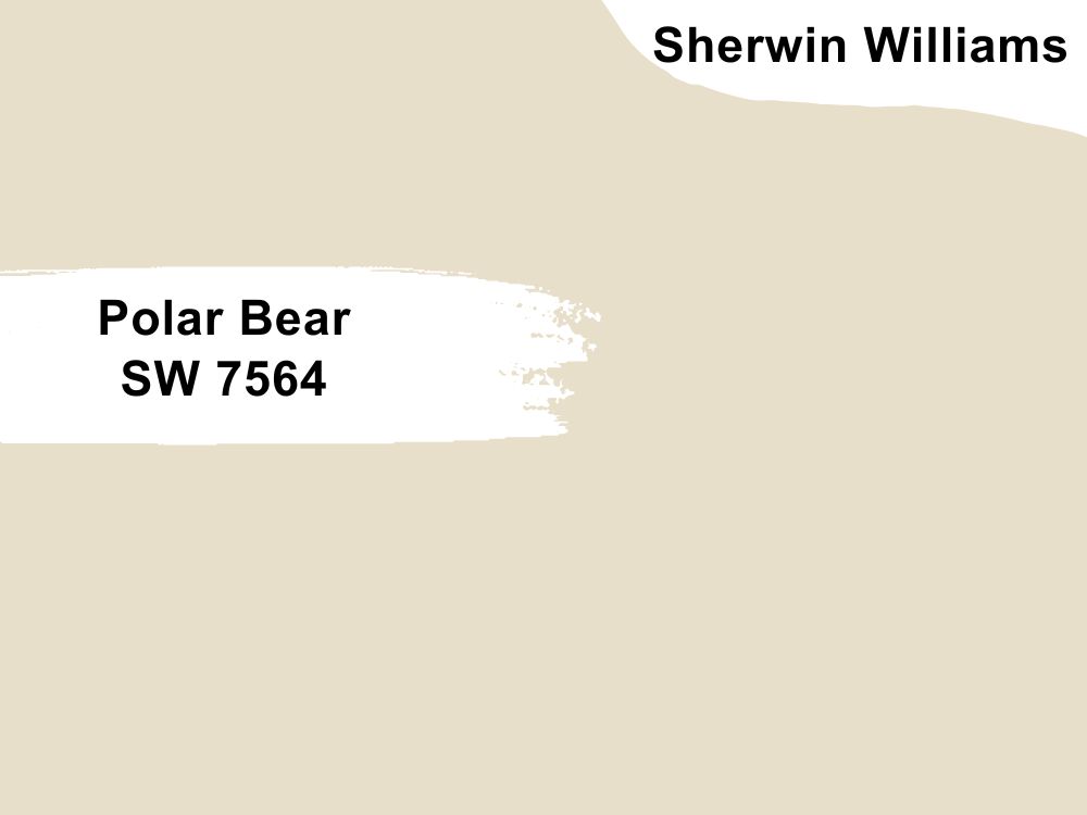 Polar Bear SW 7564