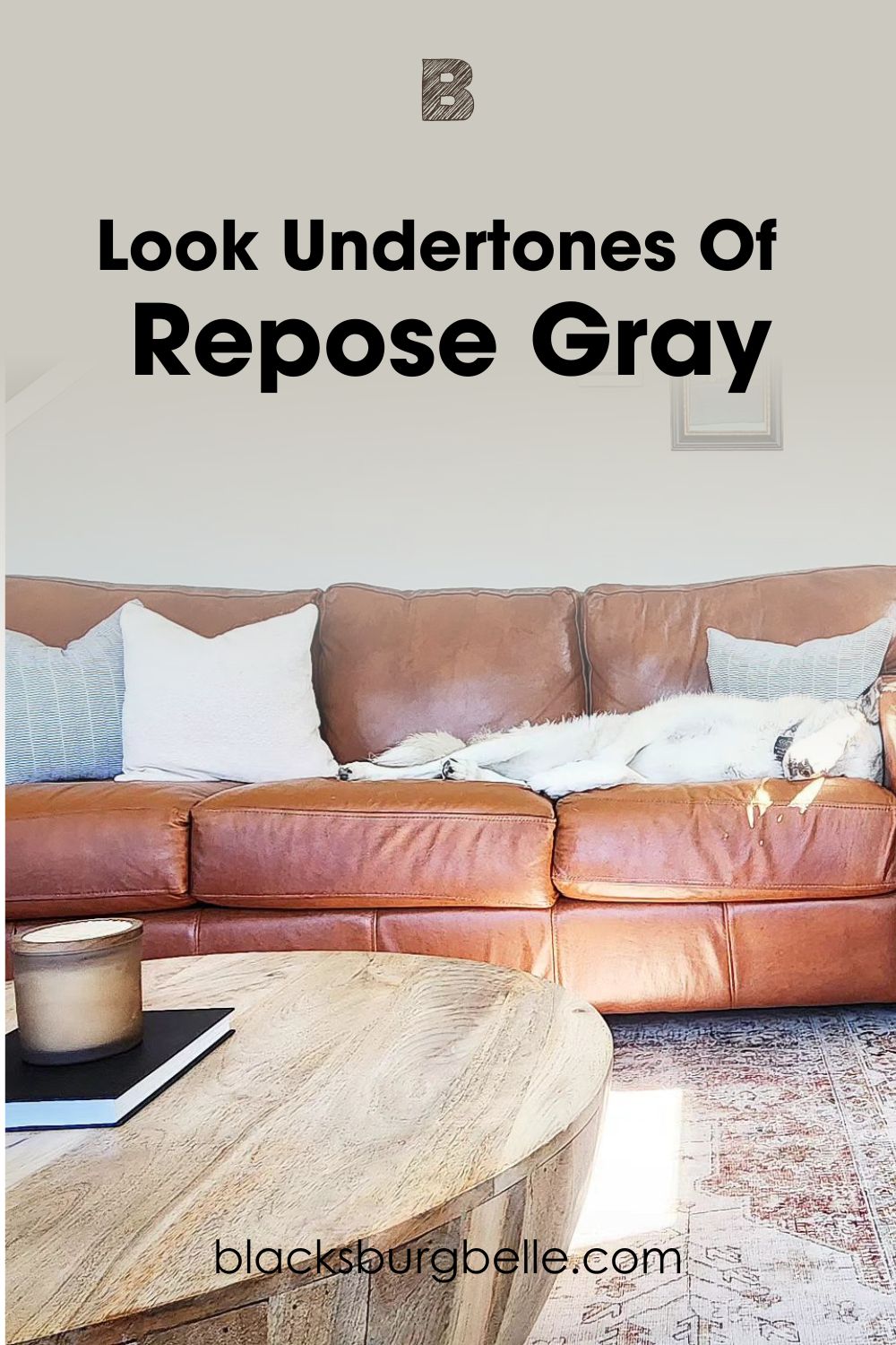 Repose Gray Undertones