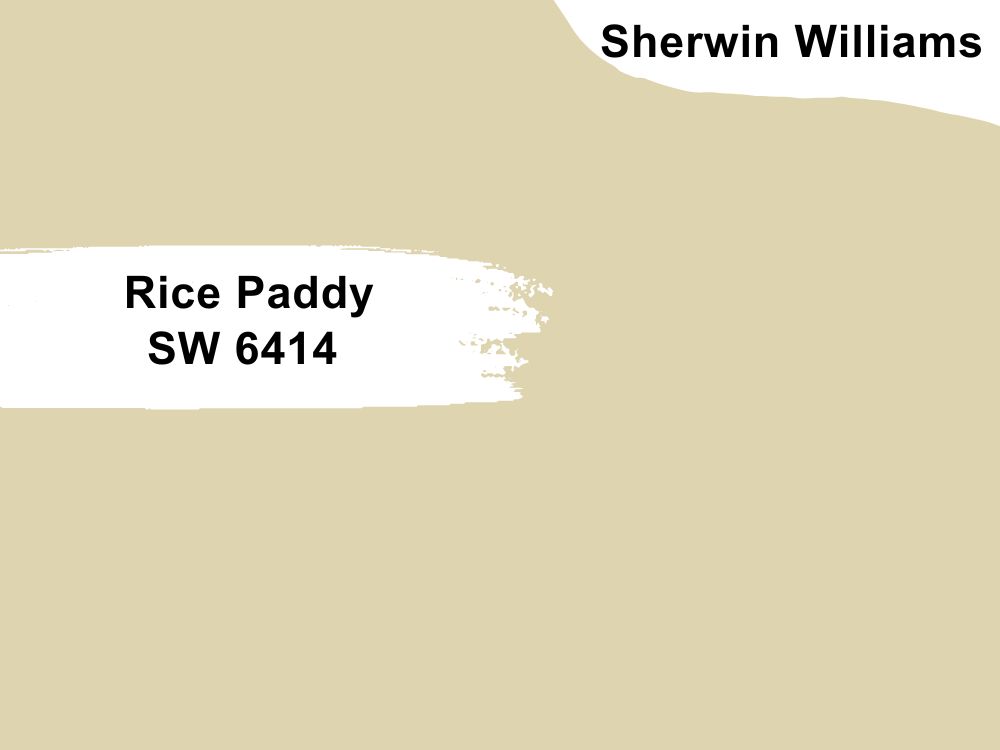 Rice Paddy SW 6414