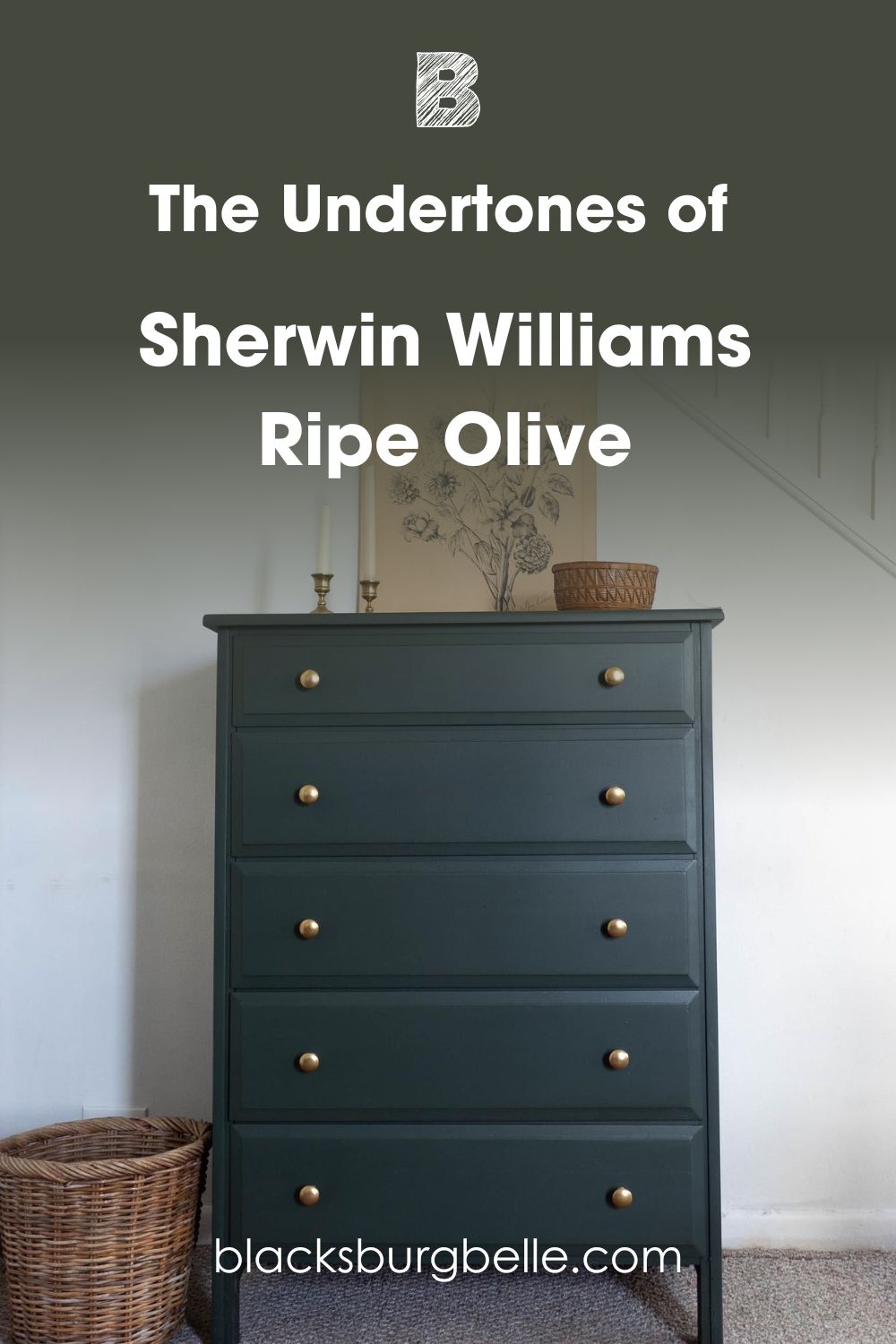  Ripe Olive SW 6209 