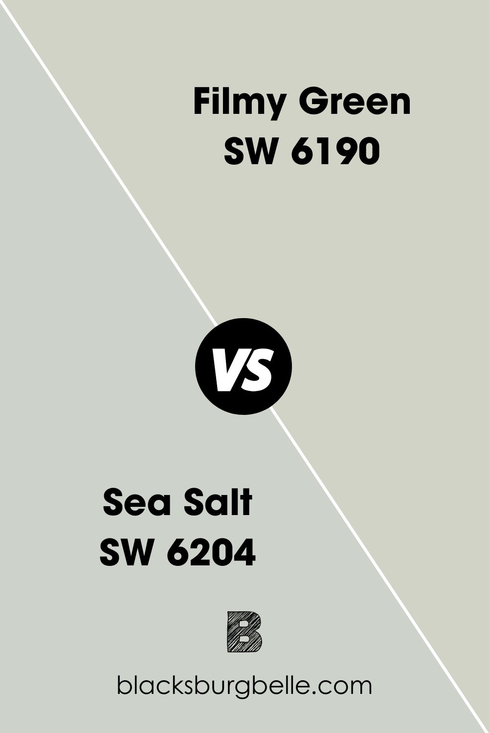 Sea Salt SW 6204