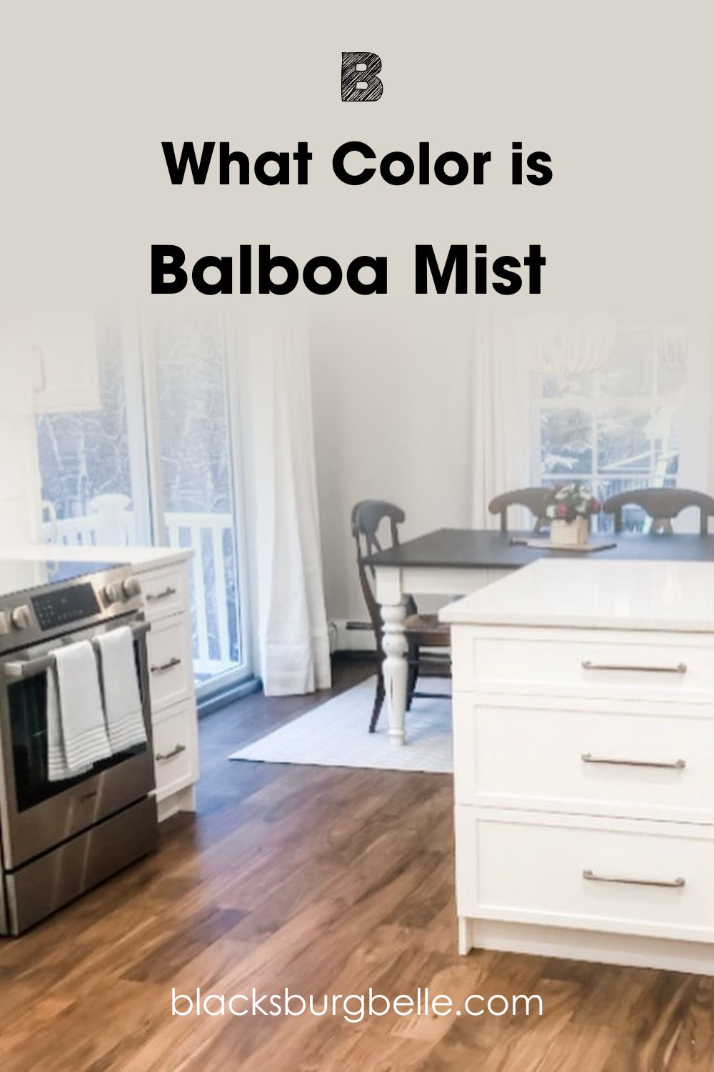 See Benjamin Moore Balboa Mist used in a Kitchen