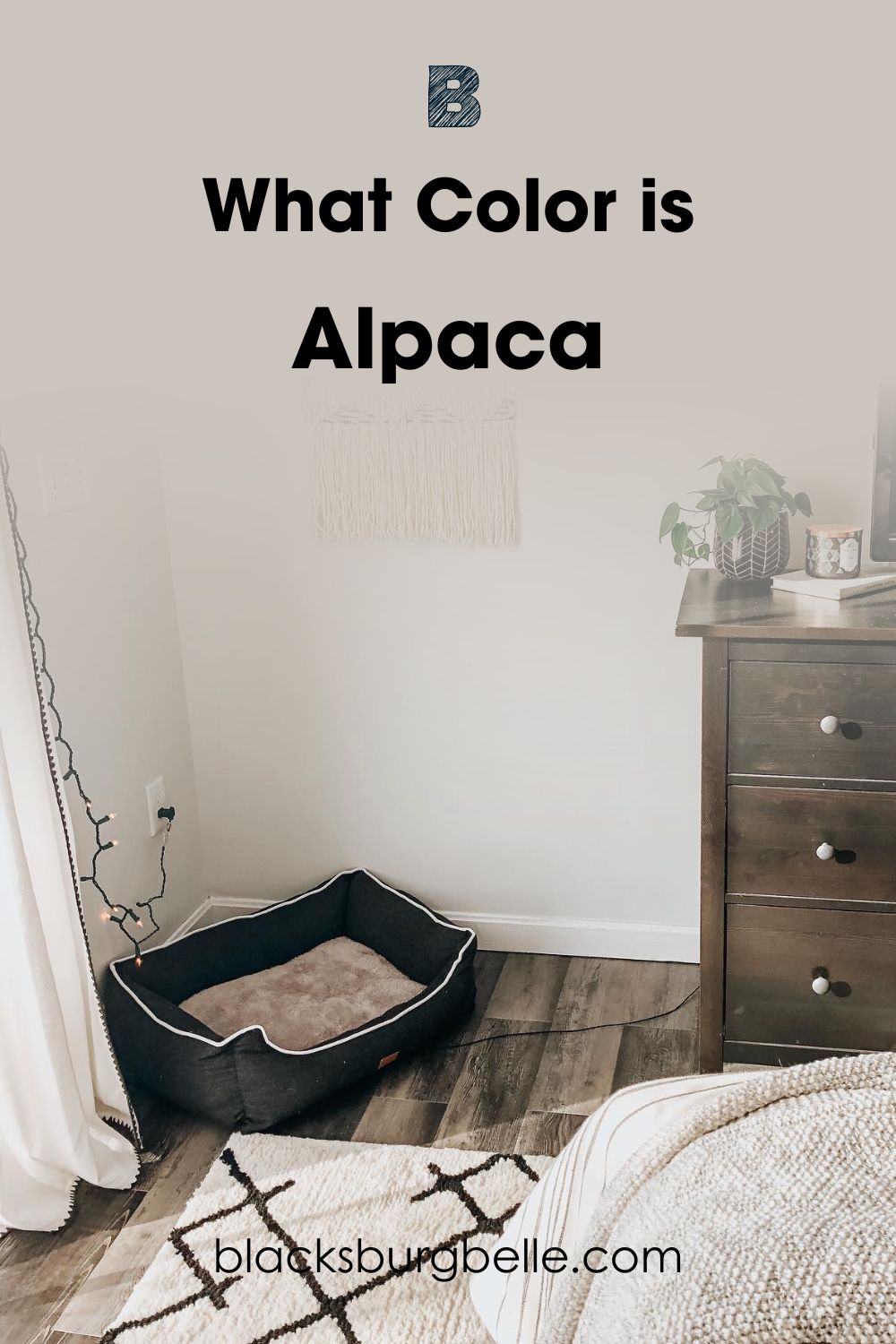 See Sherwin Williams Alpaca in a Bedroom