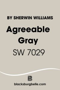 Sherwin Williams Agreeable Gray SW 7029