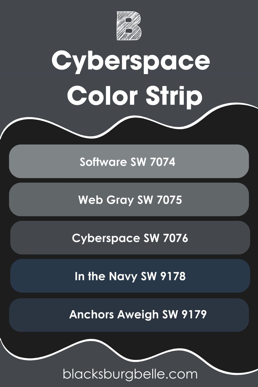 Sherwin Williams Cyberspace Color Strip