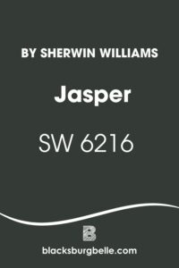 Sherwin Williams Jasper SW 6216