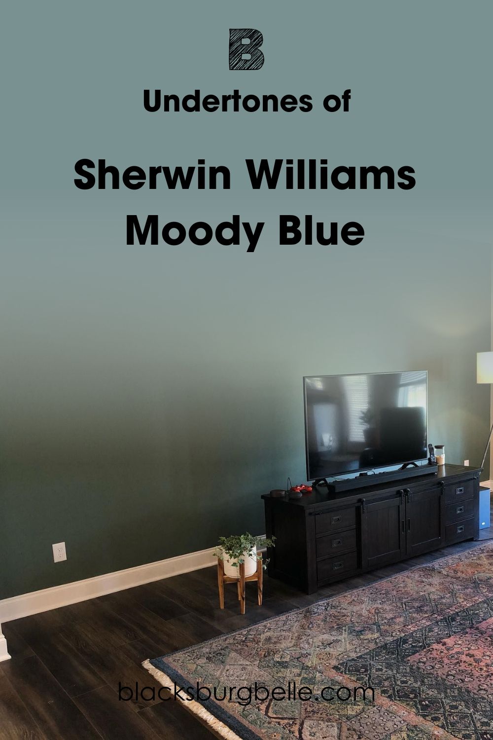 Sherwin Williams Moody Blue SW 6221 (9)