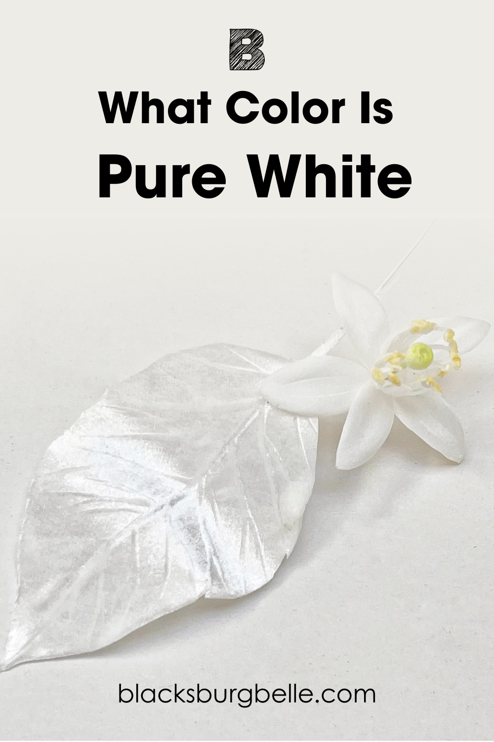 Sherwin Williams Pure White SW 7005 