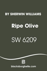 Sherwin Williams Ripe Olive SW 6209