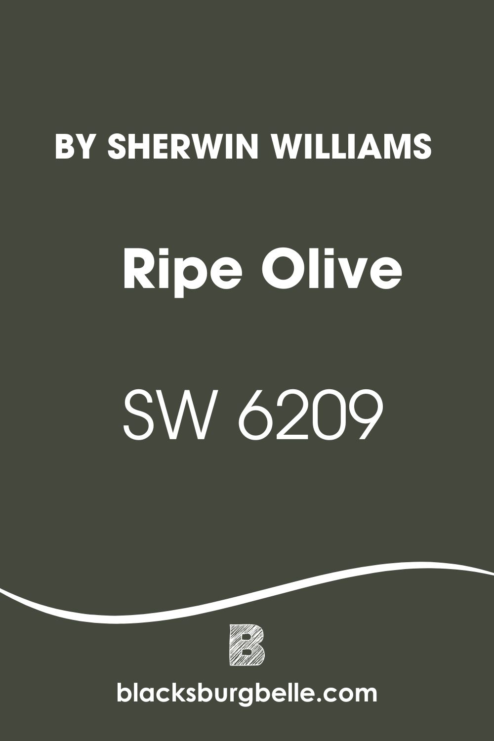 Sherwin Williams Ripe Olive SW 6209 