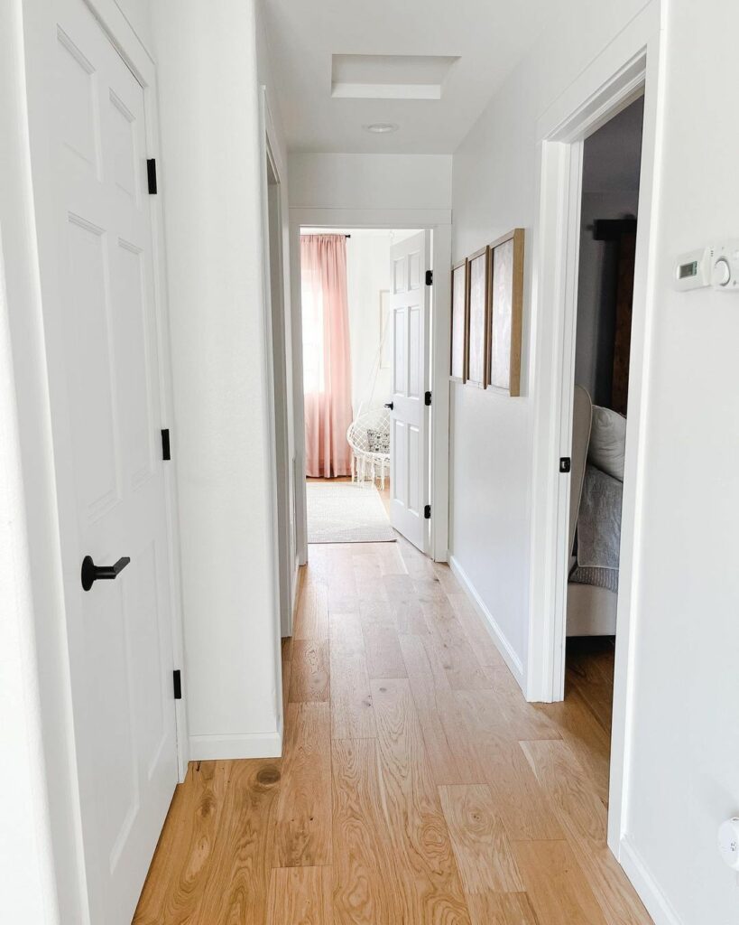 Sherwin Williams Snowbound SW 7004 Review