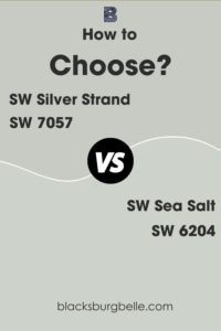 Silver Strand Vs Sea Salt
