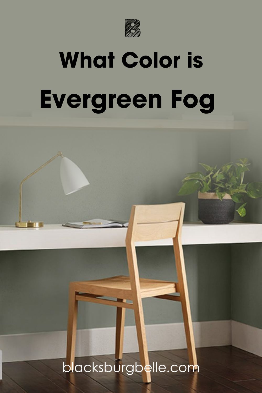 Visually Comparing vs Evergreen Fog