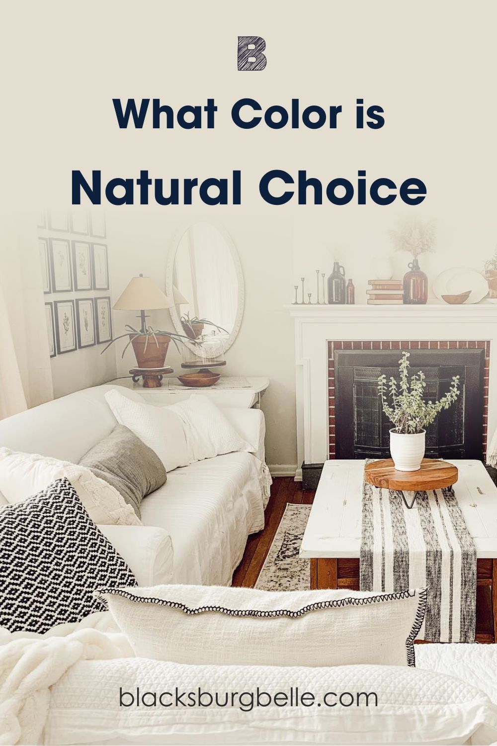 Visually Exploring Sherwin-Williams Natural Choice