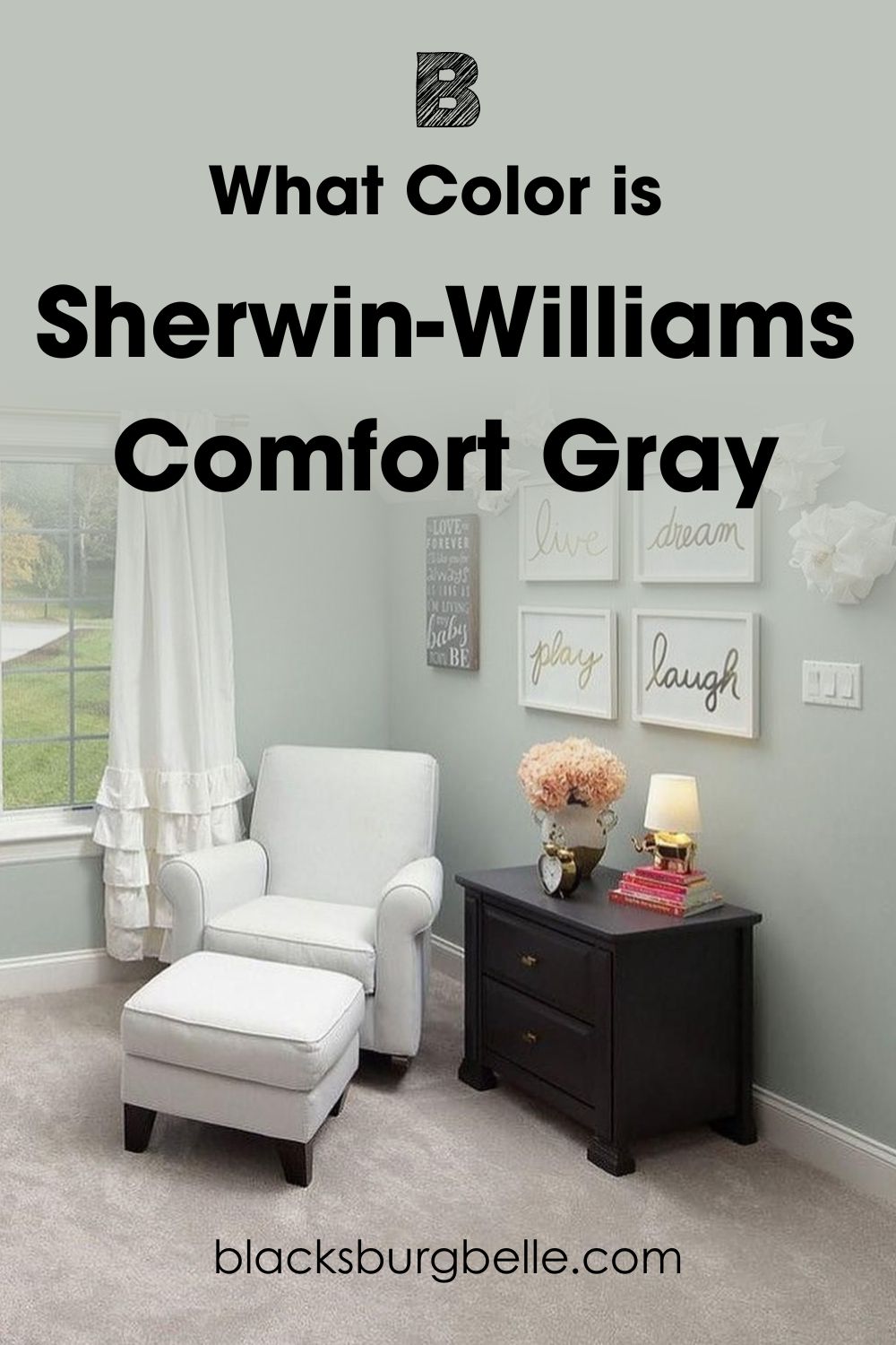 What Color is Sherwin-Williams Comfort Gray