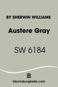 Austere Gray SW 6184