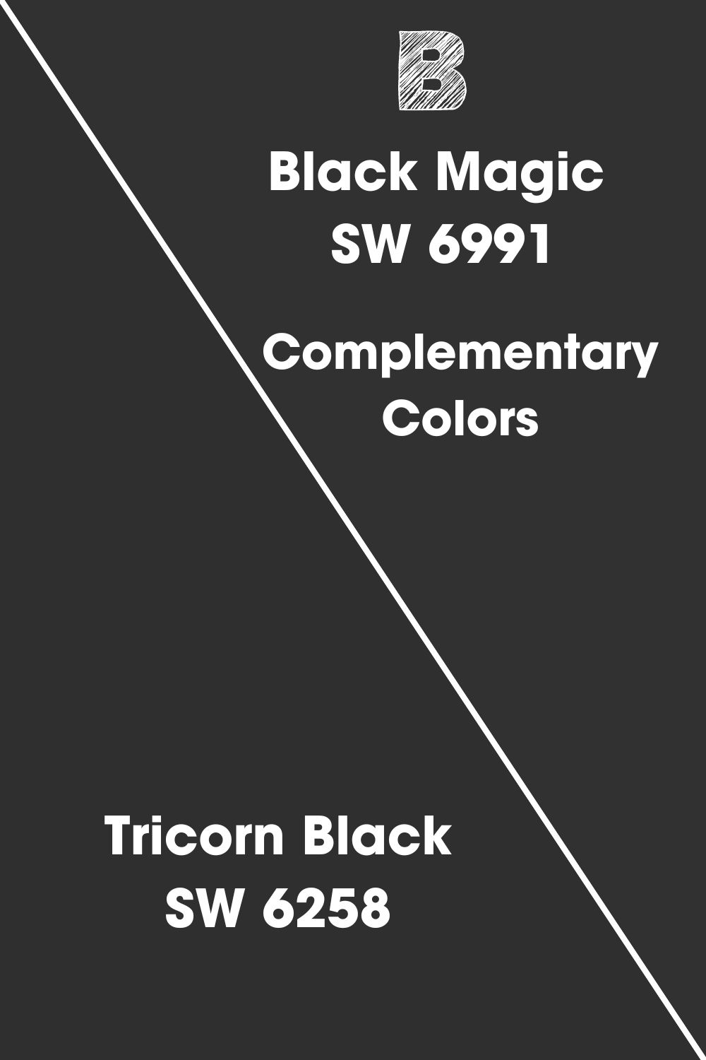 Black Magic SW 6991 (2)