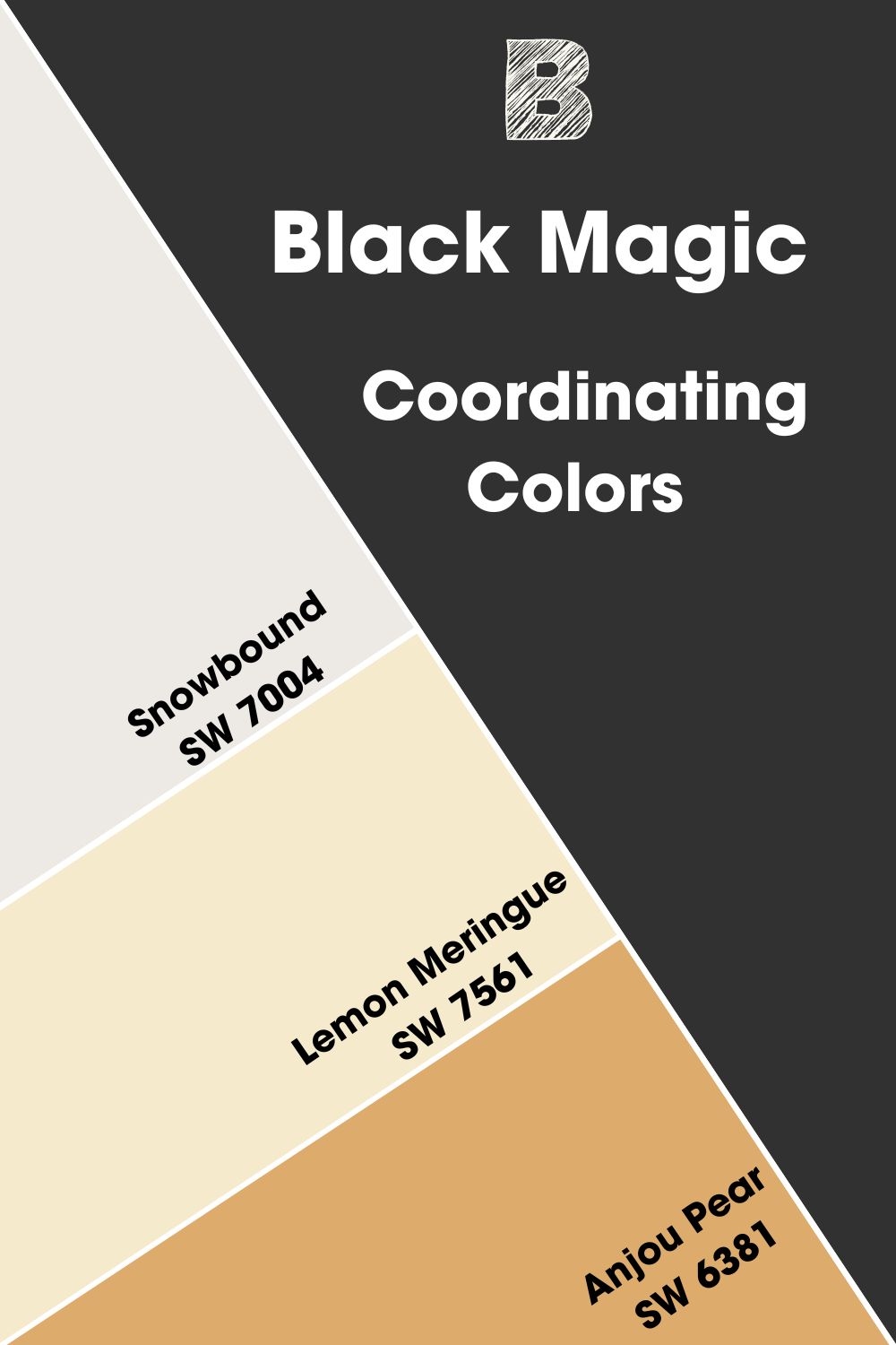Black Magic SW 6991 (3)