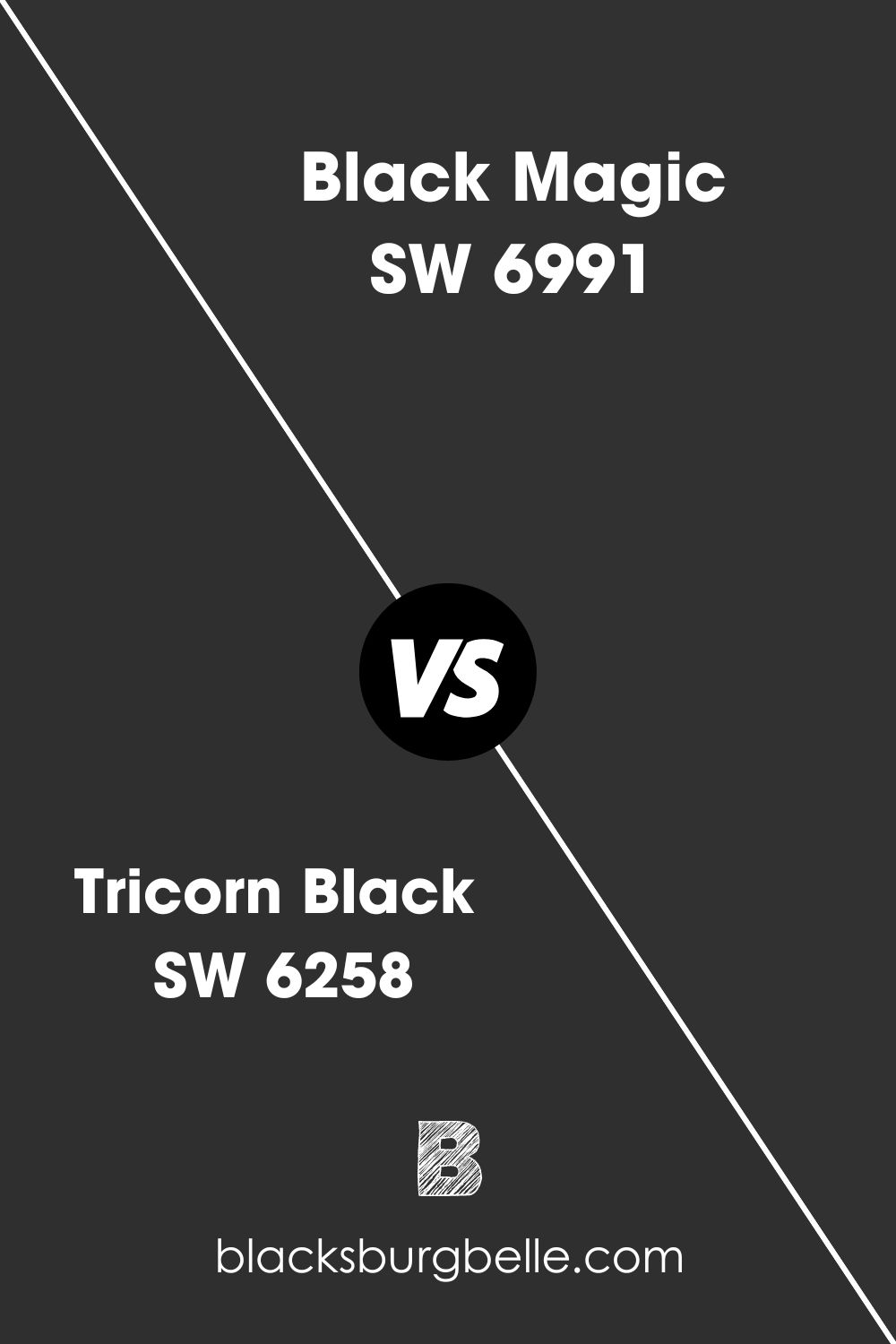 Black Magic SW 6991 (6)