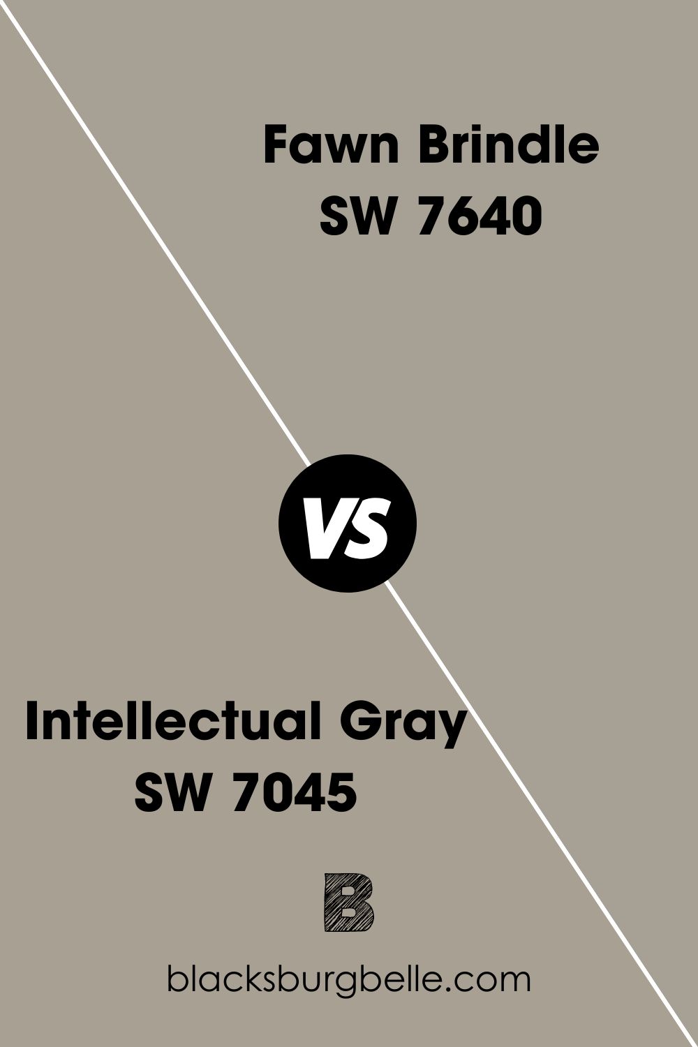 Intellectual Gray SW 7045