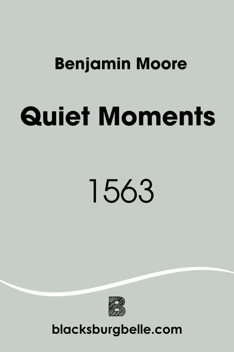 Benjamin More Quiet Moments 1563