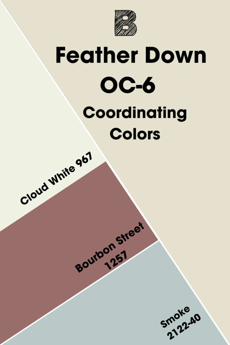 Benjamin Moore Feather Down OC6 Review & Inspirations