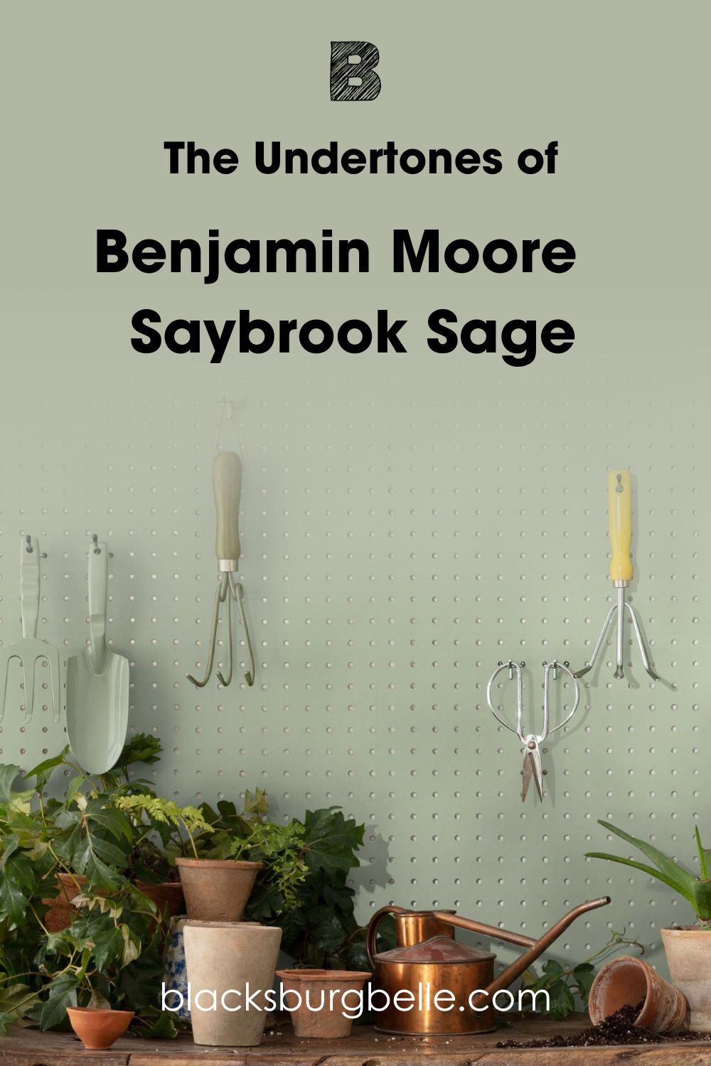 Saybrook Sage HC-114 (2)