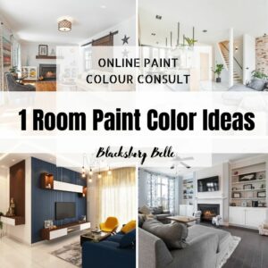 Color Consultation 1 Room Paint Color Ideas
