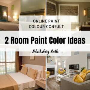 Color Consultation 2 Room Paint Color Ideas