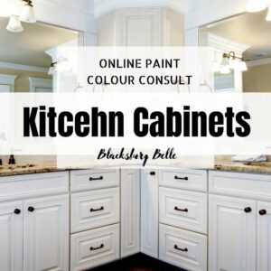 Color Consultation Kitcehn Cabinets Paint Color