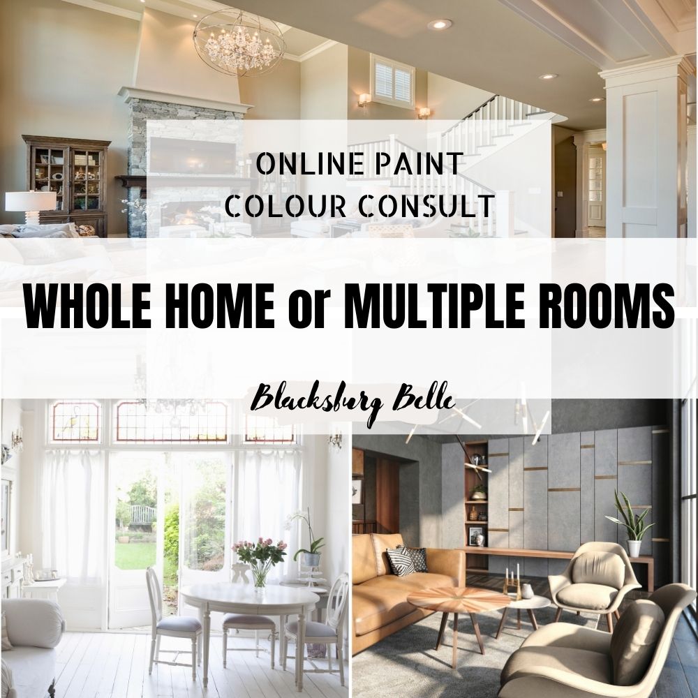 Color Consultation WHOLE HOME or MULTIPLE ROOMS